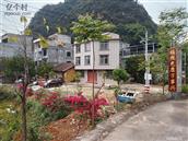 广西,百色市,德保县,马隘镇,巴隆村