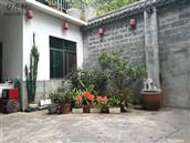广西,百色市,德保县,马隘镇,马隘村