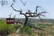 山西省,临汾市,洪洞县,淹底乡,敬圣村