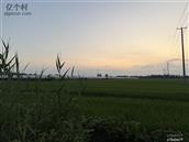 江苏省,徐州市,新沂市,时集镇,万沟村