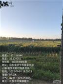 山东省,济宁市,曲阜市,尼山镇,大湖村