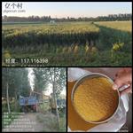 山东省,济宁市,曲阜市,尼山镇,大湖村