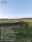 山东省,济宁市,曲阜市,尼山镇,大湖村