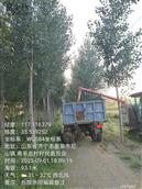 山东省,济宁市,曲阜市,尼山镇,大湖村