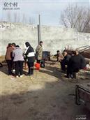 河北省,邢台市,巨鹿县,官亭镇,魏家庄村