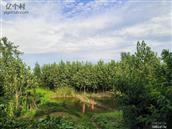 港洲村 夏冬环境，农家小院