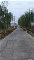 山西省,忻州市,原平市,西镇乡,南申村