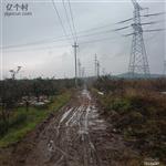 山东省,烟台市,栖霞市,臧家庄镇,洛汤地村