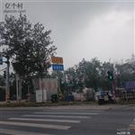 山东省,烟台市,栖霞市,臧家庄镇,洛汤地村