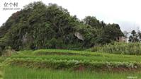 云南省,红河州,元阳县,沙拉托乡,小窝中村