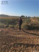 山东省,威海市,荣成市,人和镇,秦家竹村