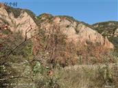 山西省,晋中市,介休市,义棠镇,利贞寨村