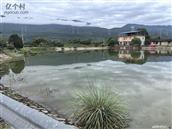 湖南省,张家界市,慈利县,江垭镇,美世坪村