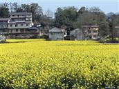 湖南省,张家界市,慈利县,江垭镇,美世坪村