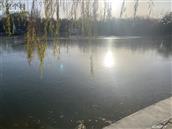 甘肃省,天水市,清水县,远门乡,新石村