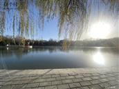 甘肃省,天水市,清水县,远门乡,新石村