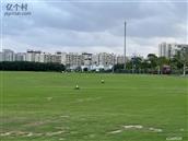 湖北省,襄阳市,枣阳市,王城镇,罗庙村