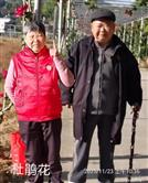 宝兴村 走过杜鹃花长廊