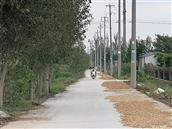 山东省,临沂市,临沭县,临沭街道,西河口村