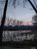 山东省,枣庄市,滕州市,滨湖镇,西屯村