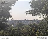 广东省,茂名市,高州市,泗水镇,堂华村