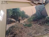 河南省,许昌市,建安区,苏桥镇,岗于村