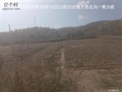 辽宁省,朝阳市,龙城区,半拉山街道,半拉山村