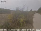 辽宁省,朝阳市,龙城区,半拉山街道,半拉山村