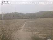 辽宁省,朝阳市,龙城区,半拉山街道,半拉山村